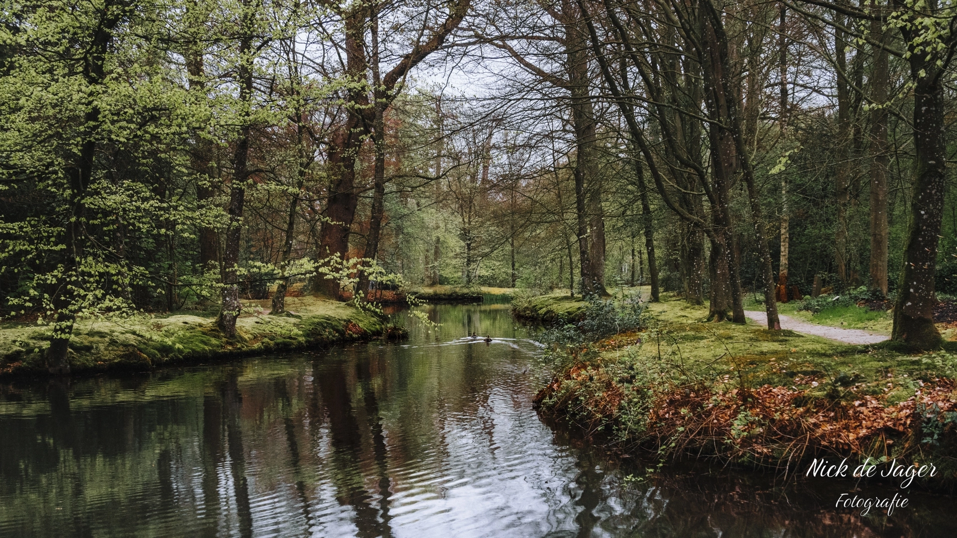 Een wandeling door het bos