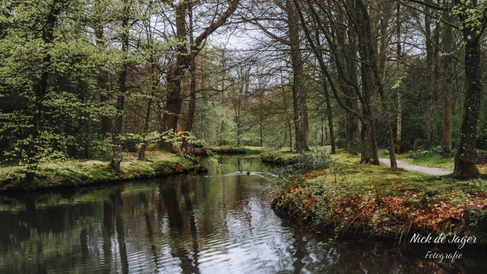 Een wandeling door het bos